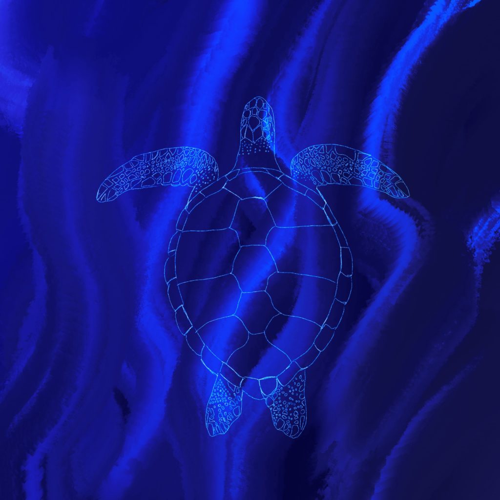 Deep Sea Turtle